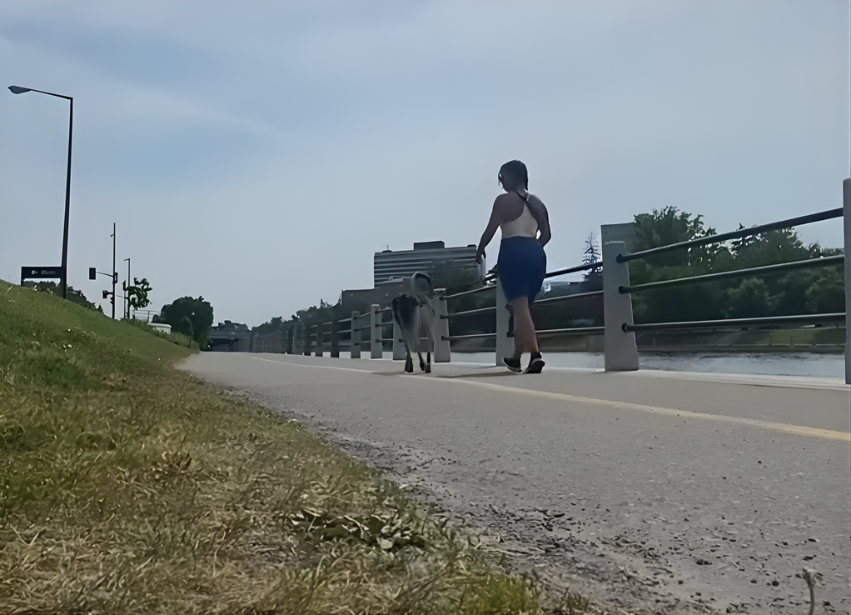 Dog walker with a happy dog walking down the Rideau Canal path in the summer, a professional pet care job opportunity with Limitless Pet & Home Care
